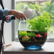 你可以将鱼缸里的废旧水倒进花盆中作为浇灌植物的好方法吗？