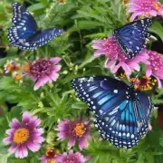 在室内种植蝴蝶兰时应注意哪些细节以确保其健康生长和开花？