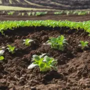 如何准备土壤以适应不同的季节和气候条件？