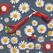哪些工具可用于切割菊花茎叶并保持其形状？