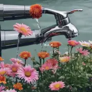 为什么有些花朵不能放在水中或靠近水龙头的地方呢？