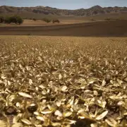 黄金万年草是否耐旱性强？
