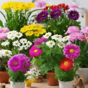 哪些保健花卉适合放在办公室或家庭中种植？