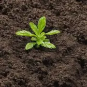 如果想让盆栽植株长得更茂盛更有活力应该如何调整土壤中的养分含量来满足其生长发育所需要的营养物质供给量？有没有一些特定的方法或技巧可以帮助我们实现这一目标？