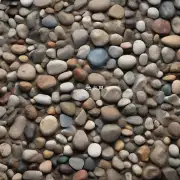 君子兰的土根基应该含有多少比例的小石子或沙子呢？
