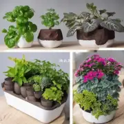你觉得养水仙花与种植其他植物有何不同之处？