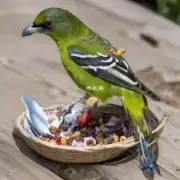 什么样的鸟会吃掉比自己还要大的食物？