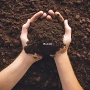什么是土壤？为什么有不同的类型和性质？