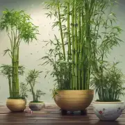 如果你希望将文竹移植到更大的花盆里你应该做些什么准备工作？