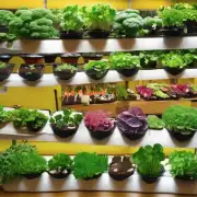 什么是适合在室内种植的各种植物和蔬菜的最佳营养物质类型呢？例如有机无机或化学合成肥料等等？