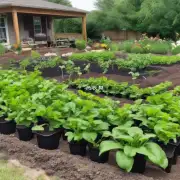 如果你决定要在自己的花园里种植一些植物时使用了含有豆渣成分的肥料那么你需要注意哪些方面以确保你的植物能够得到充分养分并茁壮成长？