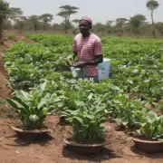 哪些因素会影响非洲堇植株的成长速度以及健康状况如光照水分？