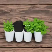 哪些常见的室内盆栽适合生长在含大量有机物和腐殖质等物质的土壤中呢？