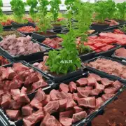 如果想栽植多肉类植物的话需要注意哪些方面？