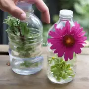 当人们决定将某种特定的鲜花插到水瓶上时应该使用什么样的容器以及如何保持其水分充足而不会过度浇灌以免导致死亡的情况发生？