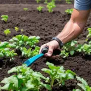 有哪些方法可以帮助你在不损害植株的情况下检测到潜在的土壤酸化情况吗？