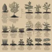 不同种类植物对土壤的要求是什么？