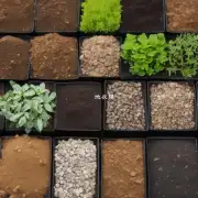 如果要为不同种类的植物选择不同的土壤类型那么它们之间的差异在哪里呢？
