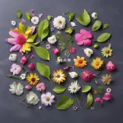 将花瓣和叶子一起收集起来用于制作工艺品或装饰物品吗？