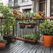 阳台上的盆土应该如何准备以及保持湿润度合适吗？