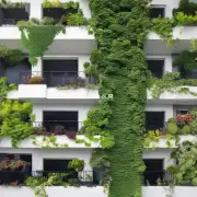 阳台上有哪些类型的树木灌木或者藤本植物是适宜作为垂直绿化的选择？为什么这些植被会比其他种类更适合在阳台上生长？