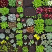 不同种类的植物对不同的土壤类型有什么偏好吗？
