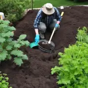 如果你想要一个良好的结果你打算如何调整你的花园土壤以获得更好的效果？