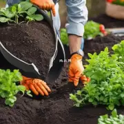 在种植米兰时应该使用哪种类型的有机肥料？
