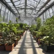 光线不太好的地方可以种哪些植物？