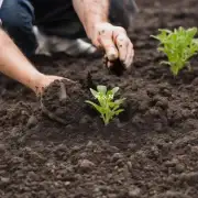 栽杜鹃花在土壤中的pH值是多少？