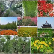在北京天津和河北等地区可以找到许多不同类型的植物物种吗？