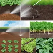 什么是最佳浇水方法来保证土壤湿润度并避免过度灌溉？