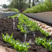 什么是什么是好的灌溉方法？