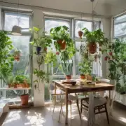 如何确保成功地将室内植物移植到新的环境中？