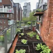 阳台有足够大的空间用于搭建花园区域并进行户外活动但你是否认为这会对植物的成长产生负面影响？为什么这样说？