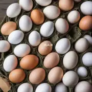 可以使用鸡蛋来作为植物营养素的一种补充吗？