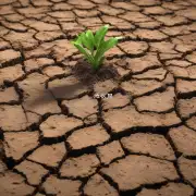 如果土壤过于干燥怎么办呢？
