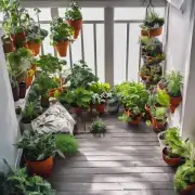 东边阳台应该种植哪些植物？