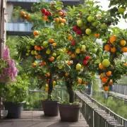 有哪些特定于气候条件或光照需求的最佳选项用于在阳台上栽种水果树？