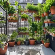 如何选择适合阳台种植的植物？