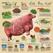 你认为对于多肉来说最理想的肥料是什么？它是否容易获得或易于处理？