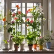 哪些花卉最适合放在室内阳光充足的地方生长呢？