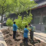 在北京市昌平区进行植栽时是否推荐使用有机肥料？