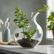你好我想给我的新鲜花瓶里的天竺葵植物浇上一些清水应该使用什么样的容器来盛放水分吗？