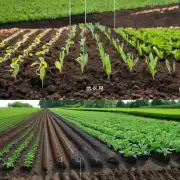 对于不同的地区季节以及土壤类型来说施肥的方法也会有所不同吧？