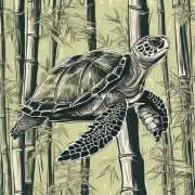 如何在室内进行龟背竹的繁殖？