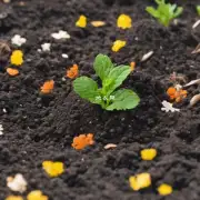 哪种类型的肥料对于不同的季节提供最好的养分支持？