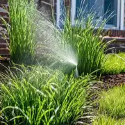 镜面草在夏季播种时应该使用什么样的灌溉系统?