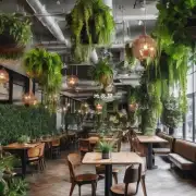 在一家餐厅内装饰时最好选择哪些植物？