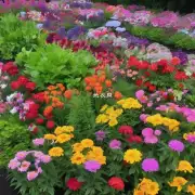 你是否知道关于六月开花有哪些常见的种植方法或是养护技巧？可以分享一下吗？